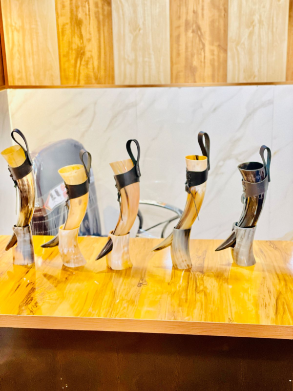 Viking Horn Set